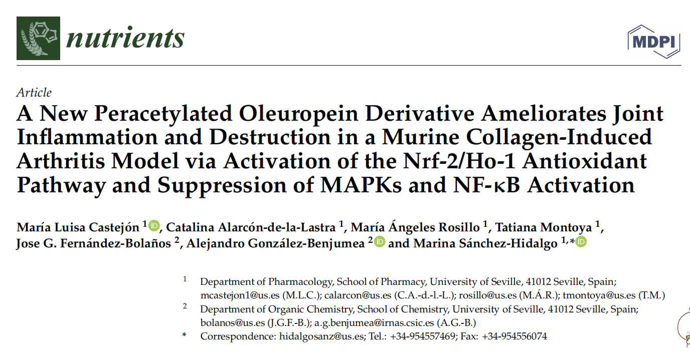 一种新的全乙酰化橄榄苦苷衍生物通过激活Nrf-2/Ho-1抗氧化通路和抑制MAPKs和NF-κB激活来改善小鼠胶原诱导的关节炎模型中的关节炎症和破坏