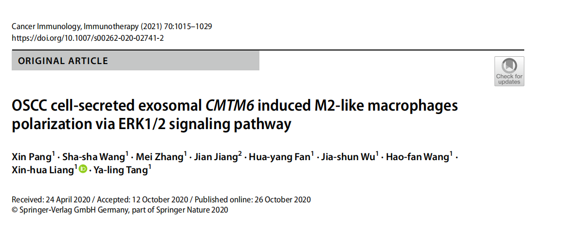OSCC细胞分泌的外泌体CMTM6通过ERK1/2信号通路诱导M2样巨噬细胞极化