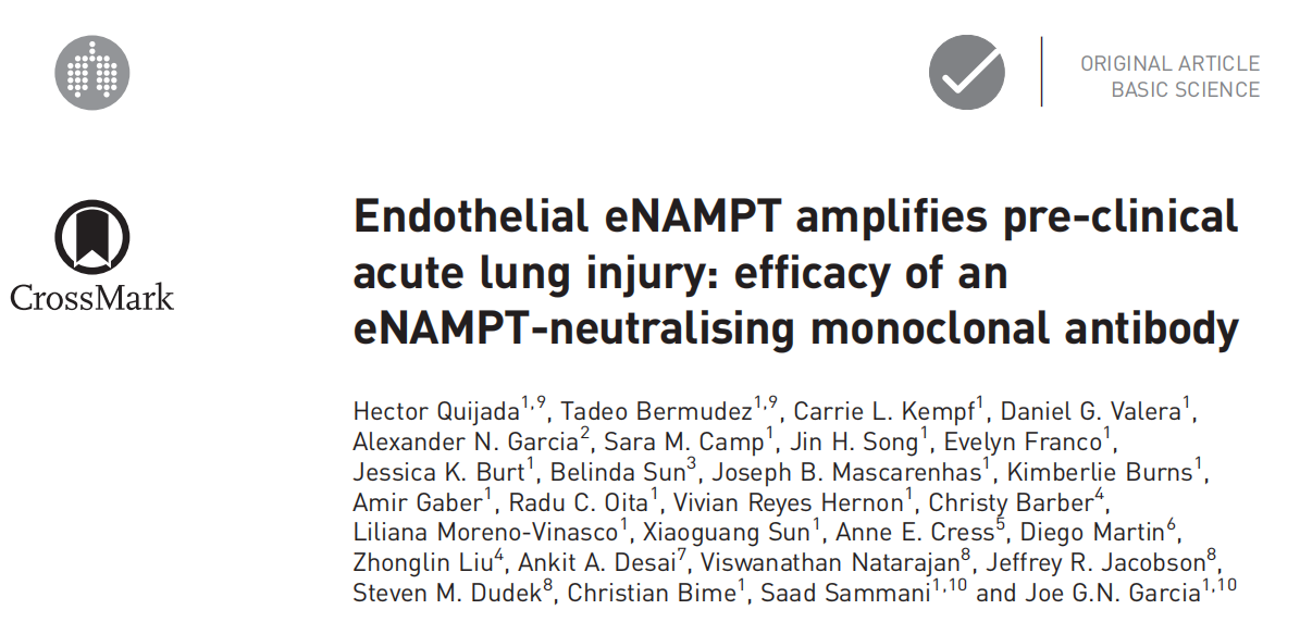 内皮eNAMPT放大临床前急性肺损伤：eNAMPT中和单克隆抗体的功效