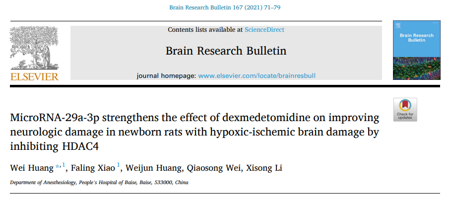 MicroRNA-29a-3p通过抑制HDAC4增强右美托咪定改善缺氧缺血性脑损伤新生大鼠神经损伤的作用