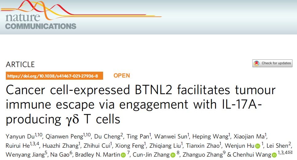 癌细胞表达的BTNL2通过与产生IL-17A的γδT细胞结合促进肿瘤免疫逃逸