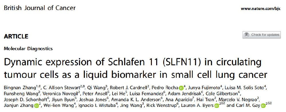 Schlafen11(SLFN11）在循环肿瘤细胞中的动态表达作为小细胞肺癌的液体生物标志物