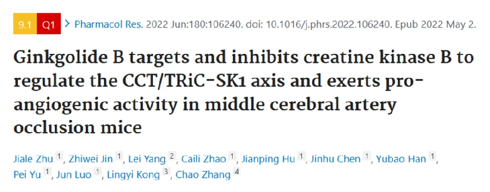 中科院1区9.1分！“血管生成+脑卒中”思路新高度！中国药科大学孔令义/张超团队带来脑卒中治疗新方向→