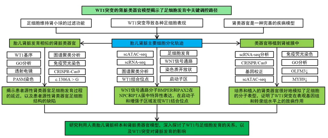 6D191E22-AC0E-4352-8390-9ACE5106D52A.png