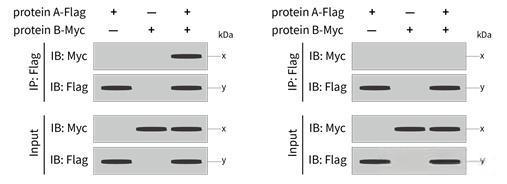 1.jpeg